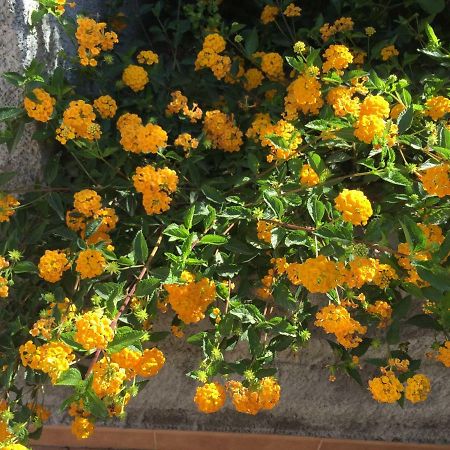 דירות טאורמינה Mastrissa Country House מראה חיצוני תמונה